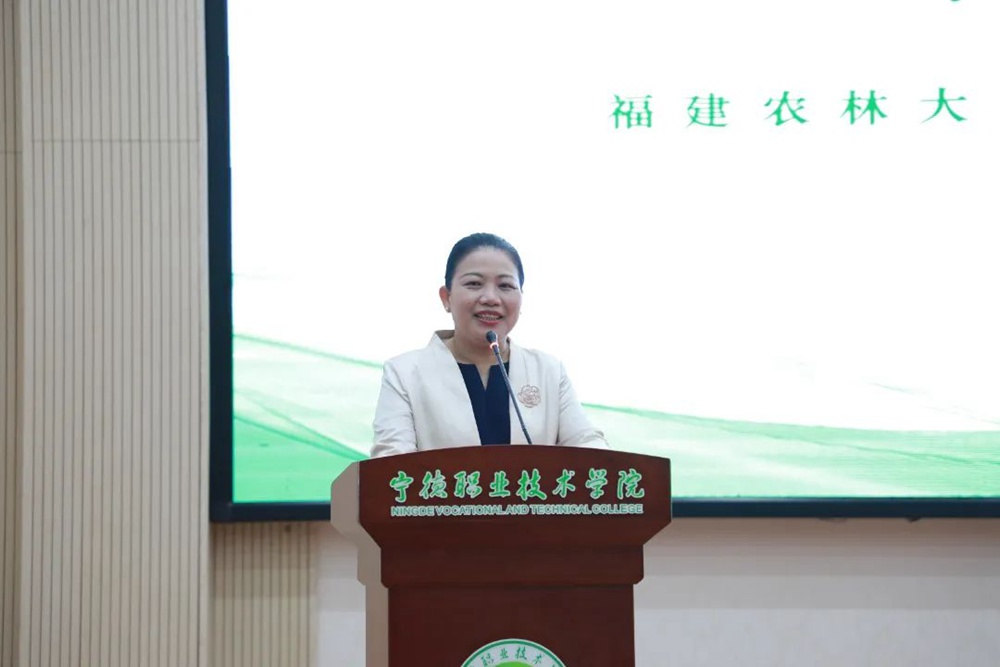 宁德人才网